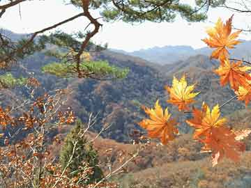 长沙房价走势揭秘，最新消息、影响因素与前景展望