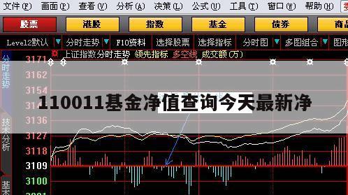 基金净值查询，今日最新净值探讨——以基金代码110023为例