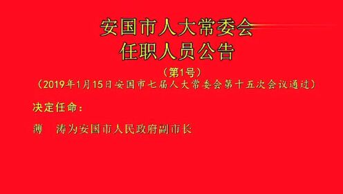 安国市剧团人事大调整，重塑团队力量，展望崭新未来