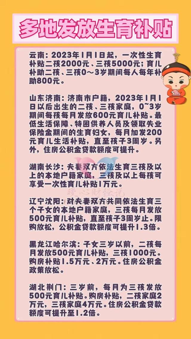 二胎补助政策最新动态，全面解读与深度探讨