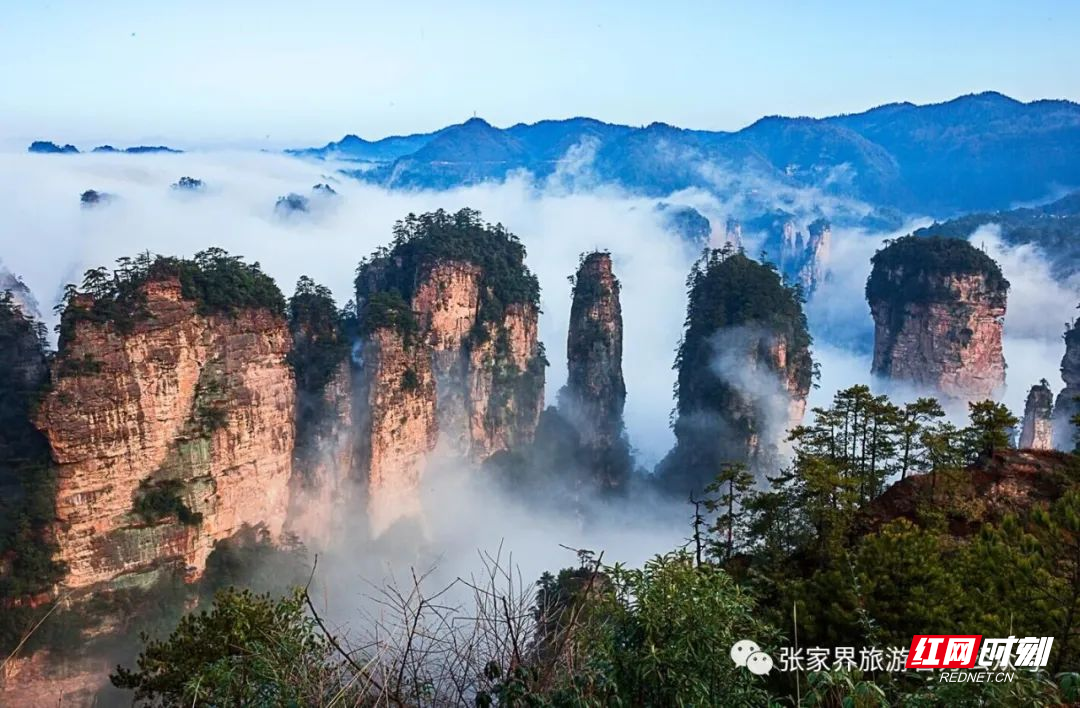 张家界最新动态，神秘面纱下的新篇章揭秘