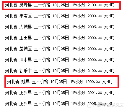 河北省玉米价格最新行情解析