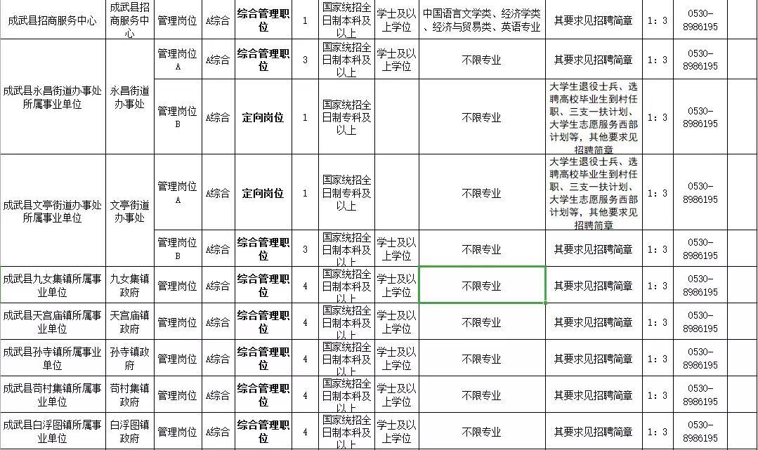 成武县文化局最新招聘信息与动态概览