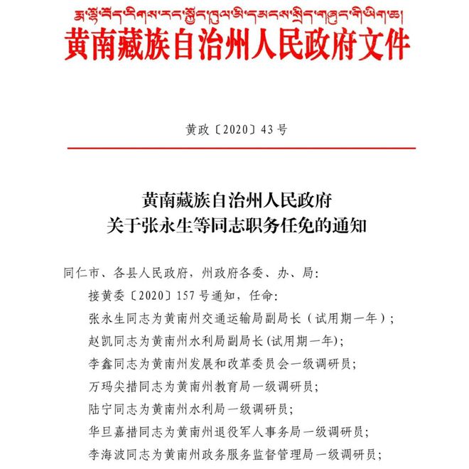 鹤山区文化局人事任命新动态与未来展望