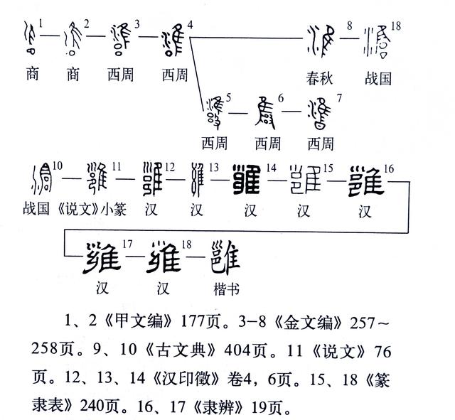 雍最新风尚，引领潮流，展现全新风貌