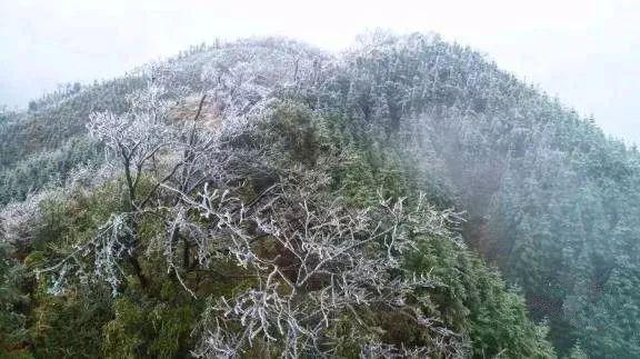 广东冷空气动态最新分析