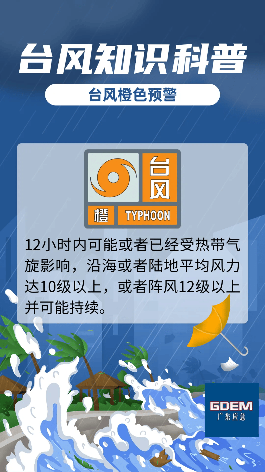 台风最新动态全面解析报告