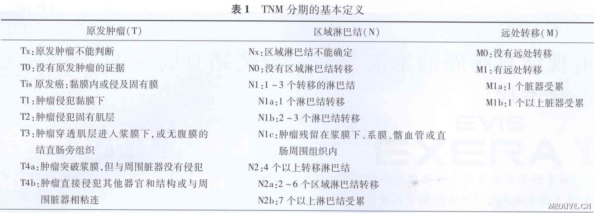 最新TNM分期标准在肿瘤诊疗中的应用及意义解析