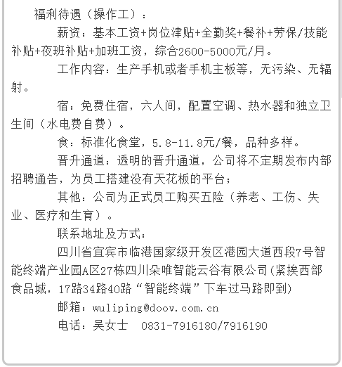 宜宾最新招聘信息及求职概述