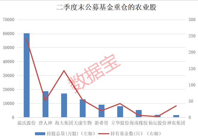 新五丰最新动态引人关注