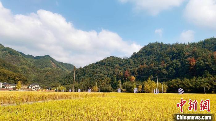 中华人民共和国土地管理法最新解读深度解析