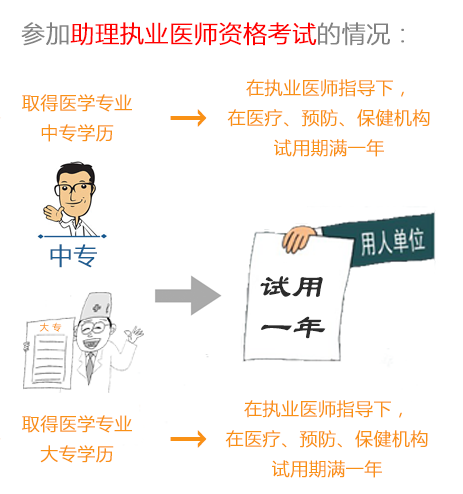 执业助理医师最新政策解析及其影响探讨