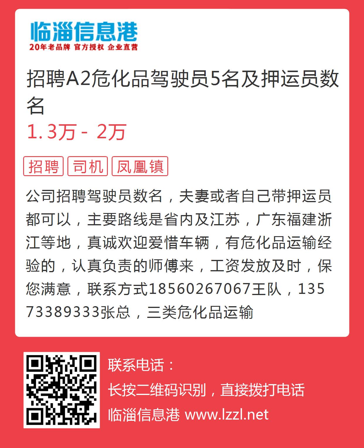 最新A2驾驶员招聘概述，驾驶精英招募启事