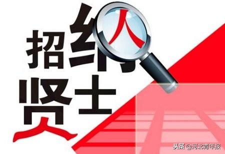 保定市最新招聘信息概览