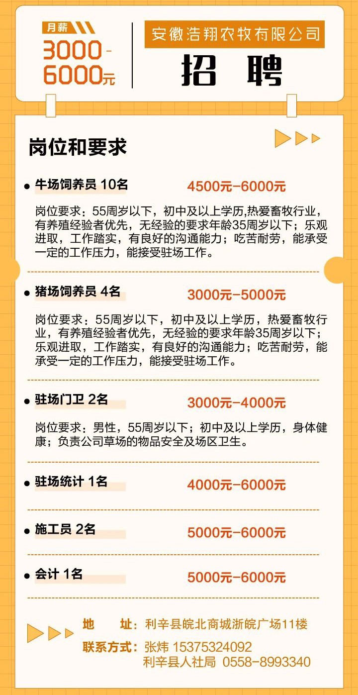 最新招聘信息全面更新，职场精英的机遇之门已开启！