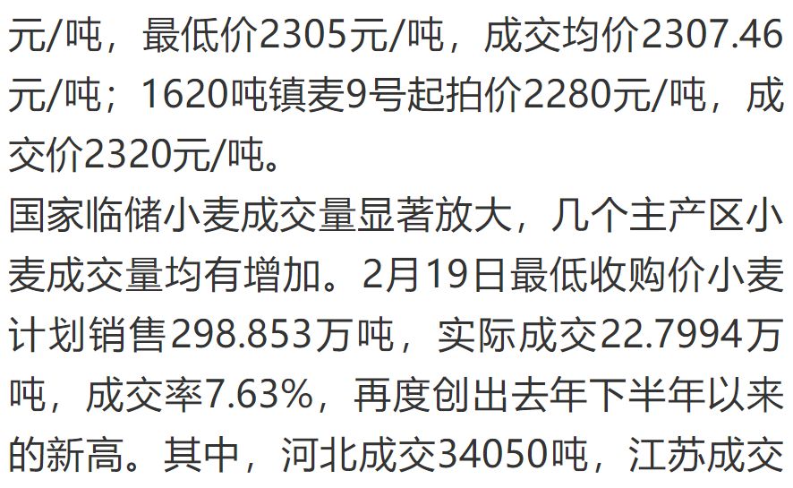 今日小麦价格走势，市场动态及影响因素深度解析