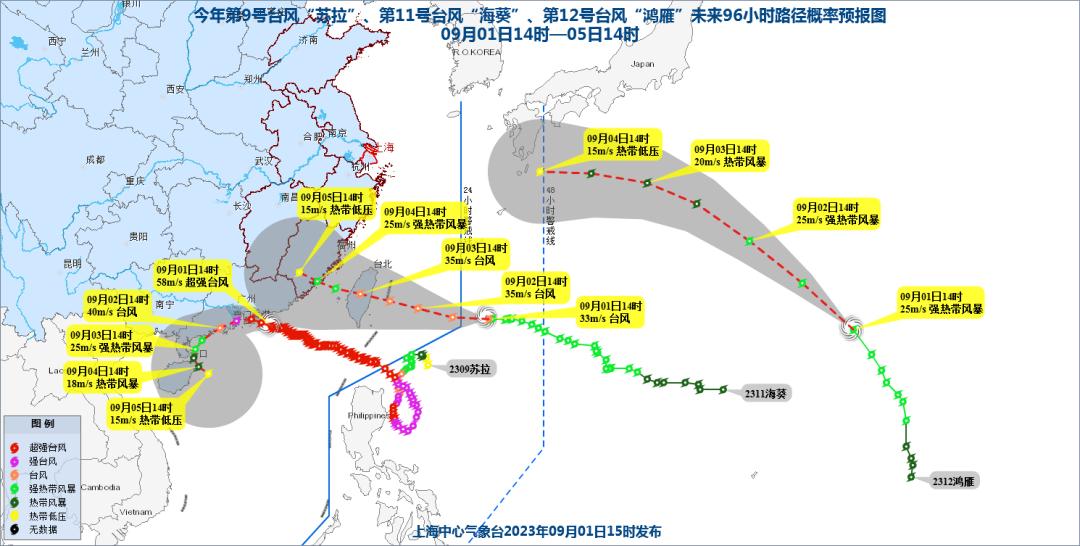 台风最新动态，监测、预测与应对策略及路线图揭秘