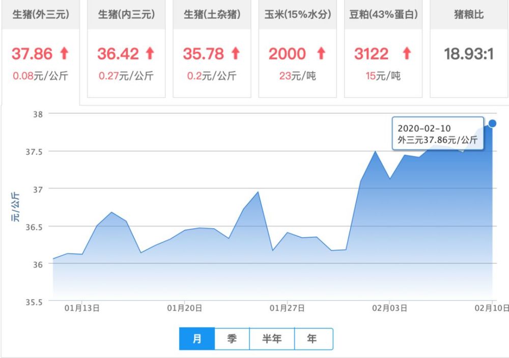 最新生猪价格走势动态分析