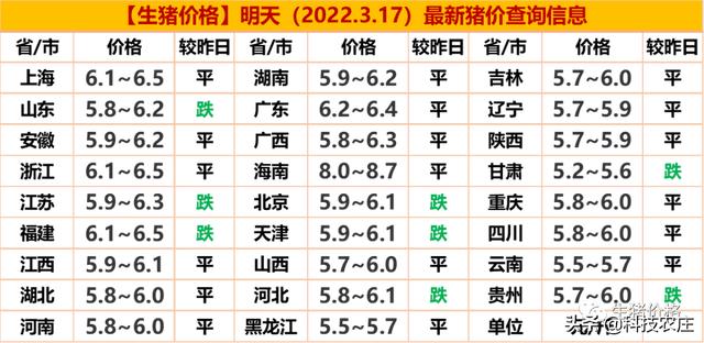 全国猪价格动态更新，最新猪价行情分析