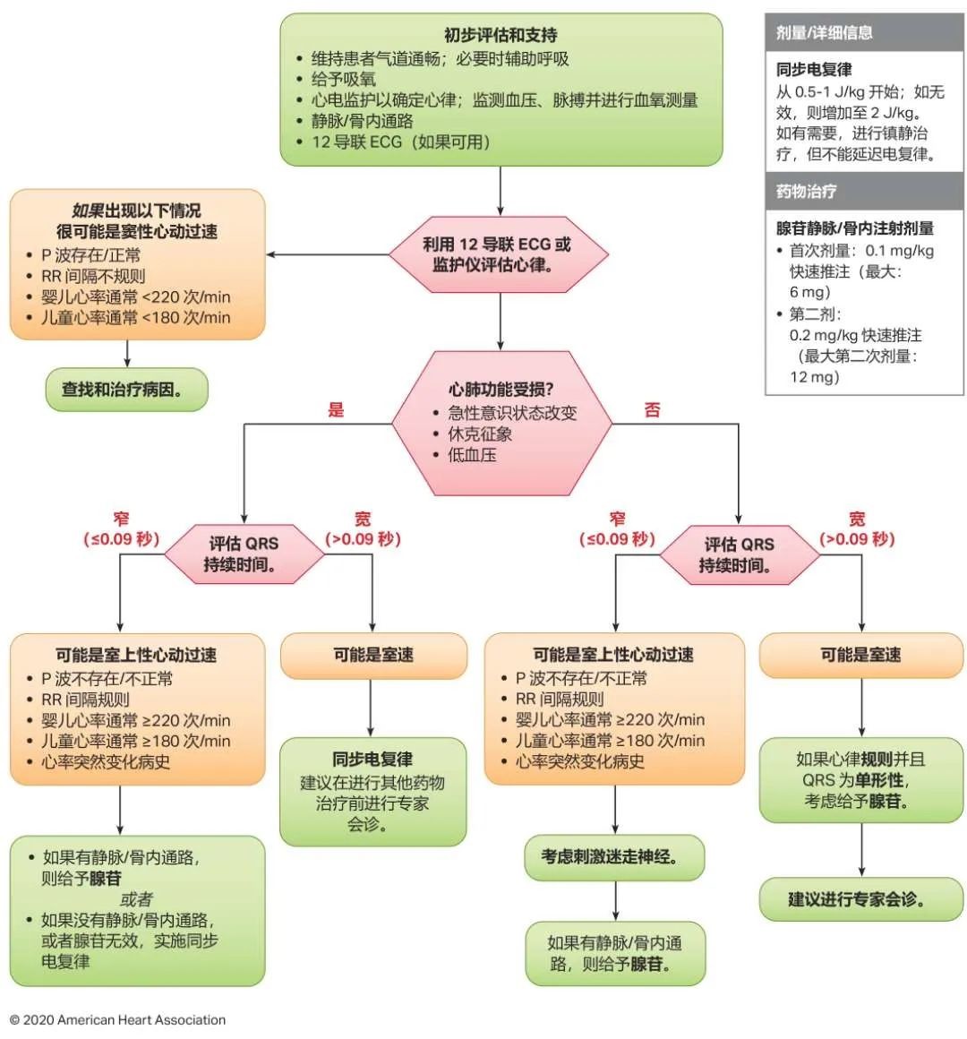 心肺复苏最新指南，拯救生命的操作手册全面解析