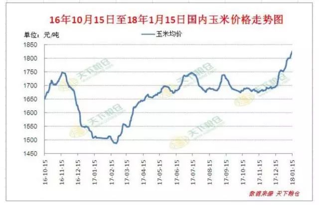 今日玉米价格走势分析，最新动态与趋势展望