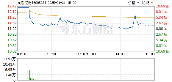 龙溪股份最新消息综述，全面解读公司动态与行业趋势