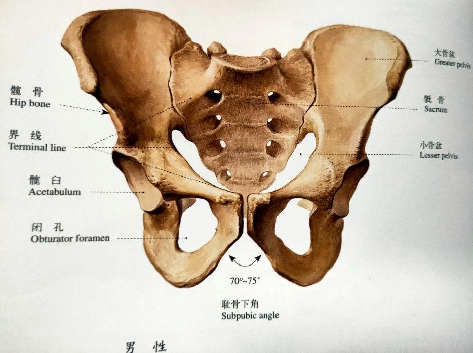 揭秘最新最准确的3D预测号码，科技前沿的奥秘探索