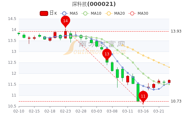 2025年1月24日 第28页